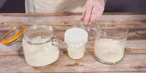 Sauerteig füttern – Pflege, Haltbarkeit und Vermehrung